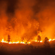 Day 3: Wildfires Continue to Rip Through Los Angeles