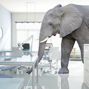 The Elephant in the Room is Getting Bigger