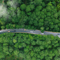 The Environmental Benefits of Sustainable Transportation