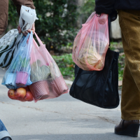 Environmental Impact of the Plastic Bag Levy: A Closer Look
