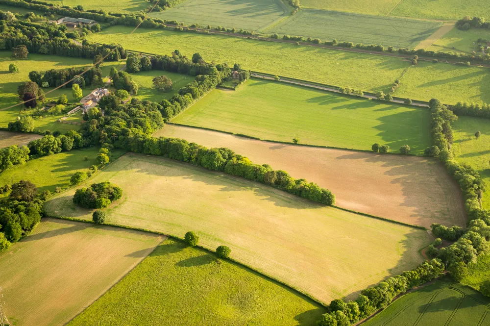 ESOS update UK environment October 2025
