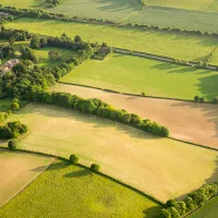 Energy Savings Opportunity Scheme (ESOS) – 9th October 2025