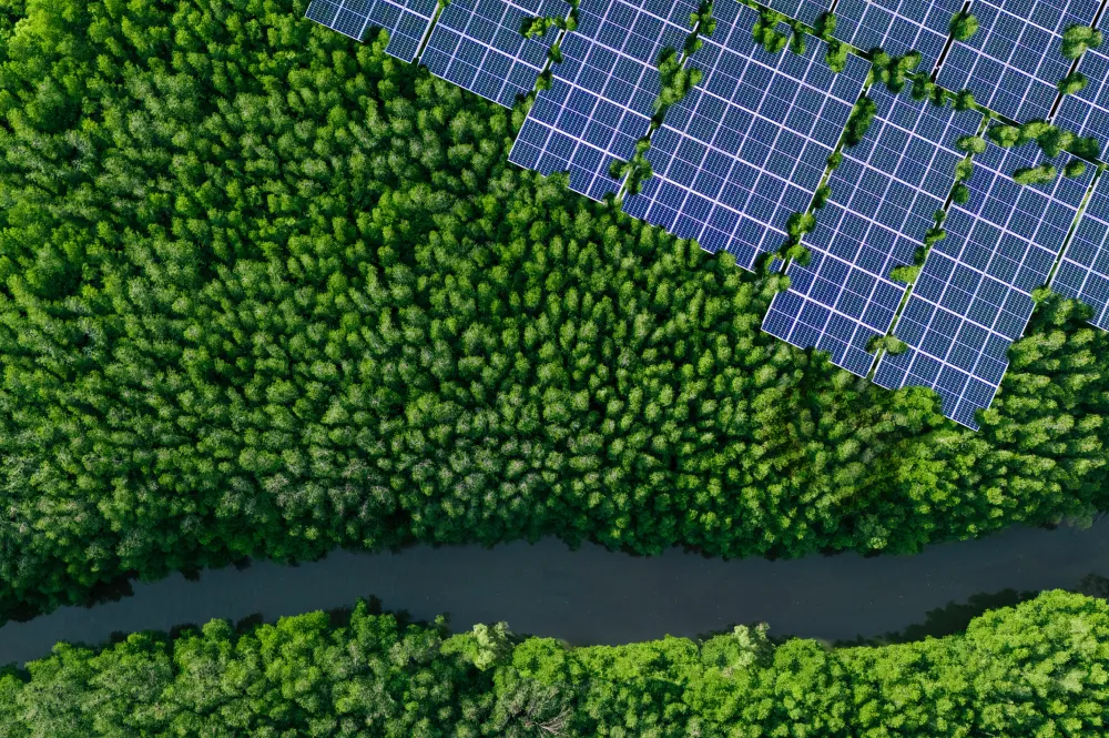 ESOS business update November 2025