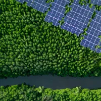 ESOS update November 2025