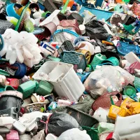 Plastic pollution recycling using microbes