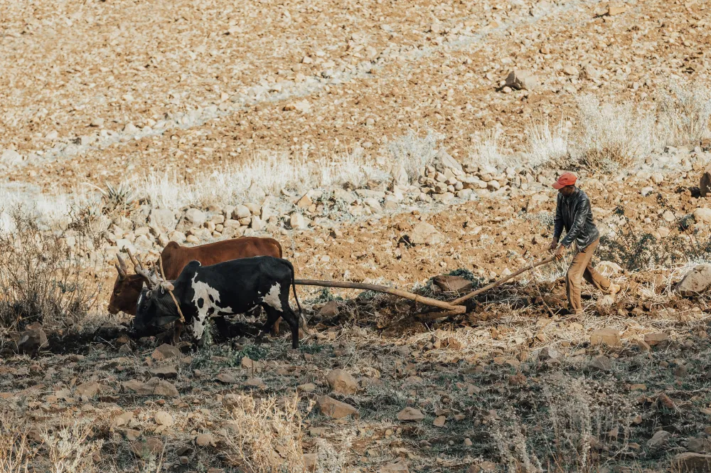 Climate change impact on Africa