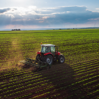 The Impacts of Agriculture on the Environment
