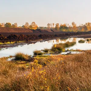 Pools of standing water across restored peatland, with cut peat banks visible in the background