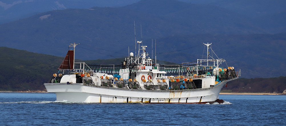 Industrial Size Squid Boat