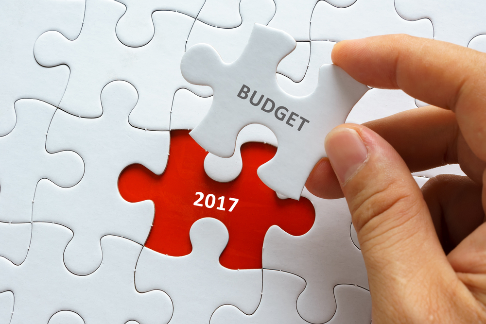 Budget 2017 Puzzle Piece