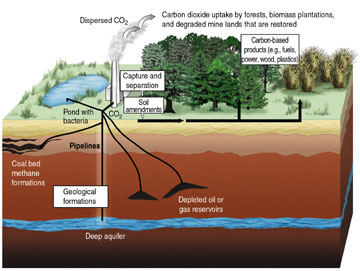 Carbon Capture and Storage 